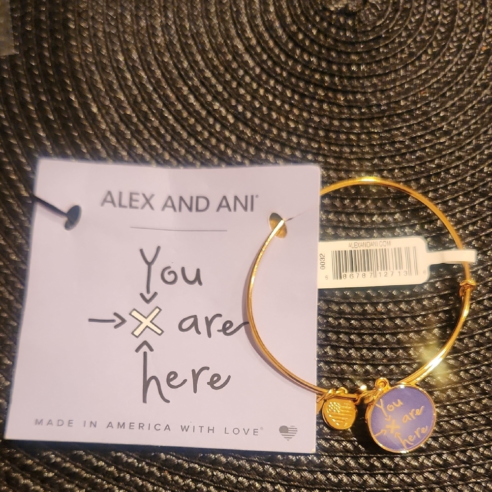 Alex and Ani Gold Bracelet with Purple Charm